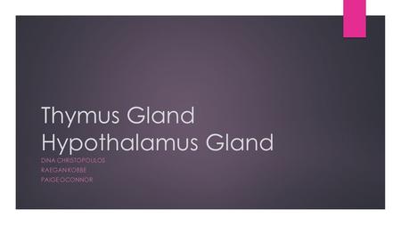 Thymus Gland Hypothalamus Gland DINA CHRISTOPOULOS RAEGAN KOBBE PAIGE OCONNOR.