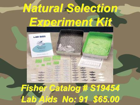 Natural Selection Experiment Kit Fisher Catalog # S19454 Lab Aids No: 91 $65.00.