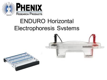 ENDURO Horizontal Electrophoresis Systems. Casting a Gel Attach a buffer dam to one side of gel tray Attach the other buffer dam to the other side of.