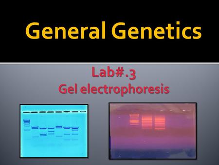 General Genetics.  To learn how to prepare agarose gel electrophoresis.