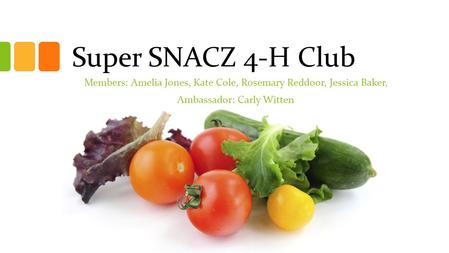 Super SNACZ 4-H Club Members: Amelia Jones, Kate Cole, Rosemary Reddoor, Jessica Baker, Ambassador: Carly Witten.