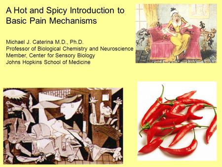 A Hot and Spicy Introduction to Basic Pain Mechanisms Michael J. Caterina M.D., Ph.D. Professor of Biological Chemistry and Neuroscience Member, Center.
