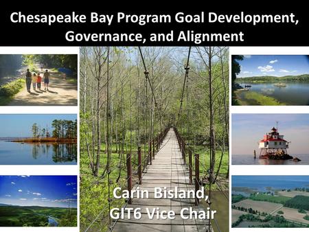 Chesapeake Bay Program Goal Development, Governance, and Alignment Carin Bisland, GIT6 Vice Chair.