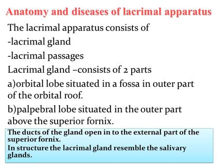 Anatomy and diseases of lacrimal apparatus