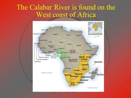 The Calabar River is found on the West coast of Africa.