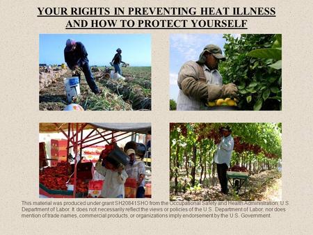 YOUR RIGHTS IN PREVENTING HEAT ILLNESS AND HOW TO PROTECT YOURSELF This material was produced under grant SH20841SHO from the Occupational Safety and Health.