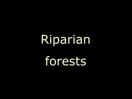 Riparian forests. Deciduous. Eurosiberian origen.