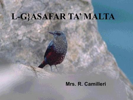L-G}ASAFAR TA’ MALTA Mrs. R. Camilleri.