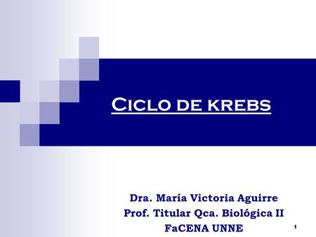 Ciclo de krebs Dra. María Victoria Aguirre Prof. Titular Qca. Biológica II FaCENA UNNE 1.