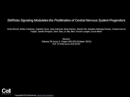 Slit/Robo Signaling Modulates the Proliferation of Central Nervous System Progenitors Víctor Borrell, Adrián Cárdenas, Gabriele Ciceri, Joan Galcerán,