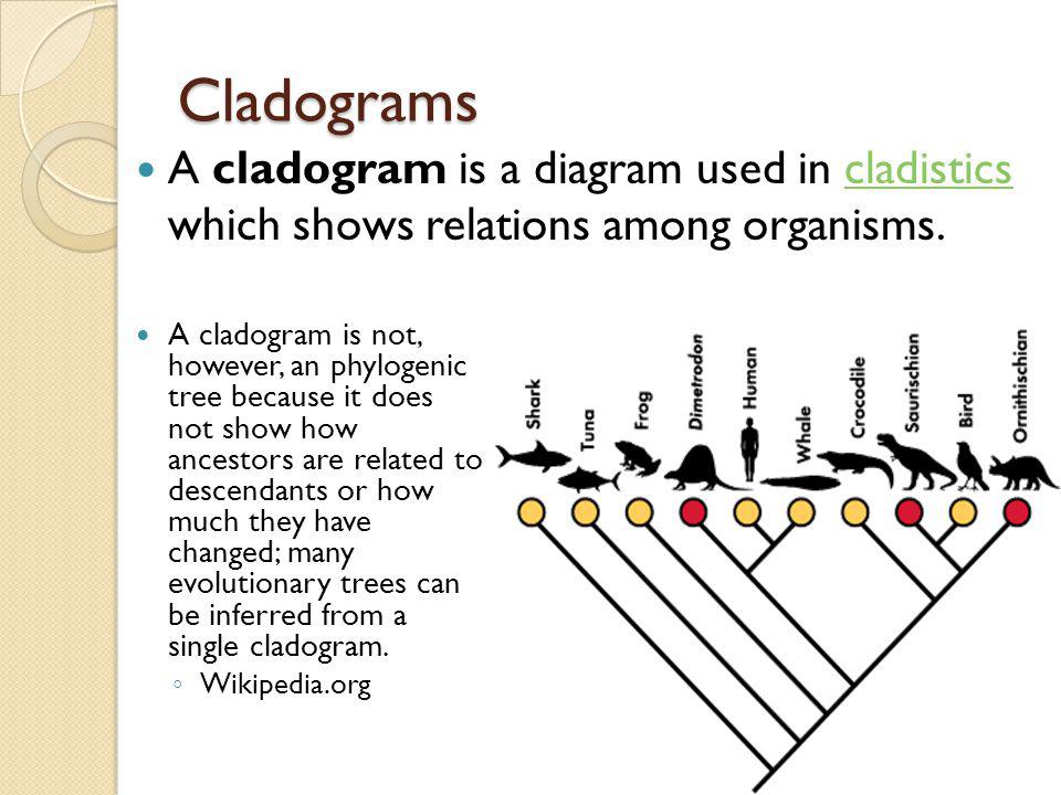 download Research Methodologies in Supply Chain