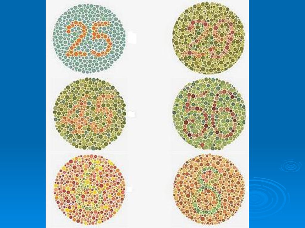 Pedigrees Sex Linked Traits Mrs Ray Human Chromosomes Humans Have 23