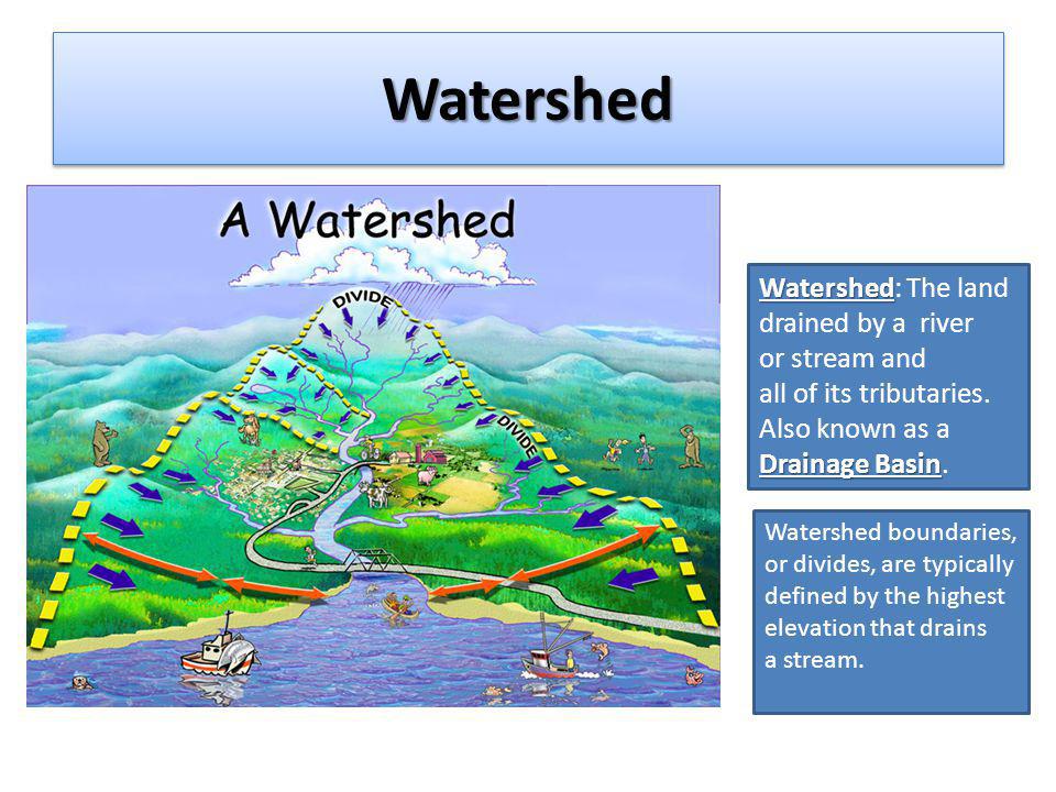 Watershed+Watershed%3A+The+land+drained+by+a+river+or+stream+and