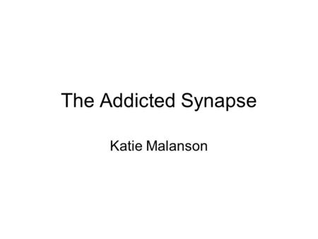 The Addicted Synapse Katie Malanson.