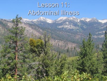 Lesson 11: Abdominal Illness. Objectives Demonstrate a field assessment for abdominal pain/discomfort List signs/symptoms of serious abdominal problems.