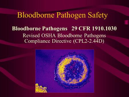Bloodborne Pathogen Safety