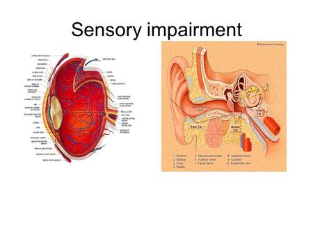 Sensory impairment. Sensory impairment involves the eyes and hearing. Both of these conditions can have an adverse effect on the health of older people.