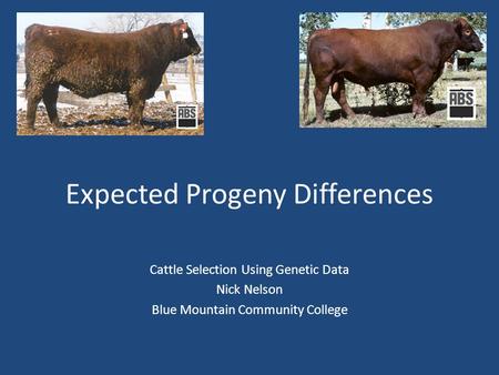 Expected Progeny Differences Cattle Selection Using Genetic Data Nick Nelson Blue Mountain Community College.