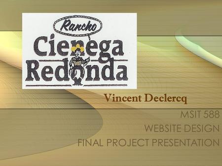 Vincent Declercq MSIT 588 WEBSITE DESIGN FINAL PROJECT PRESENTATION.
