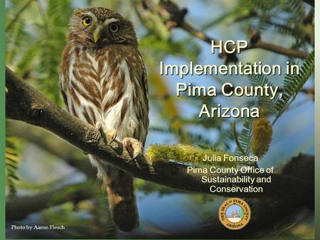HCP Implementation in Pima County, Arizona Julia Fonseca Pima County Office of Sustainability and Conservation Photo by Aaron Flesch.