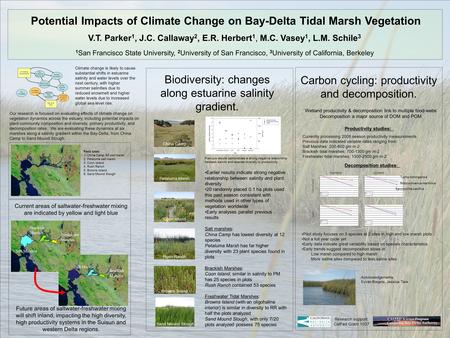 Potential Impacts of Climate Change on Bay-Delta Tidal Marsh Vegetation V.T. Parker 1, J.C. Callaway 2, E.R. Herbert 1, M.C. Vasey 1, L.M. Schile 3 1 San.