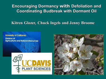 Encouraging Dormancy with Defoliation and Coordinating Budbreak with Dormant Oil Kitren Glozer, Chuck Ingels and Jenny Broome.