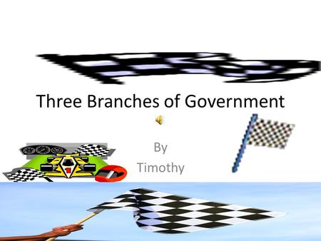 Three Branches of Government By Timothy Executive Branch The Executive Branch is run by the President and the Vice President. The Executive Branch is.
