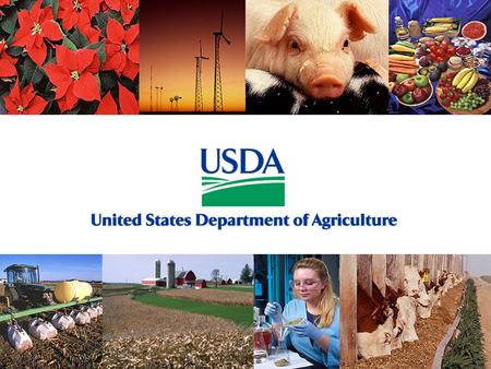 SBIR Features of USDA SBIR Program Award Grants Only Awards Based on Scientific and Technical Merit Ideas are Investigator-Initiated Proposals Reviewed.