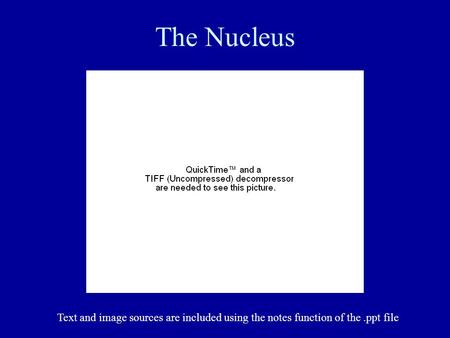 The Nucleus Text and image sources are included using the notes function of the.ppt file.