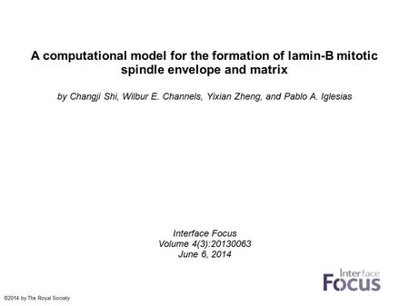 A computational model for the formation of lamin-B mitotic spindle envelope and matrix by Changji Shi, Wilbur E. Channels, Yixian Zheng, and Pablo A. Iglesias.