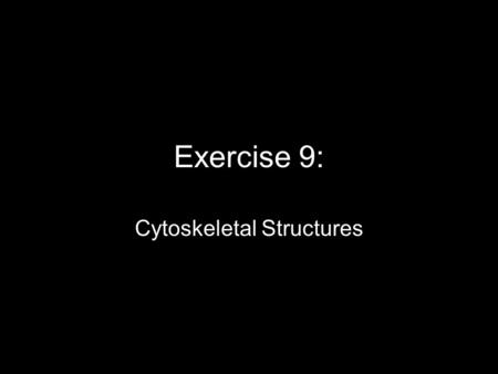 Exercise 9: Cytoskeletal Structures. Announcements Post Lab 11 is due by your next lab. LNA Cytoskeletal Structure assigned today, and is due next lab.