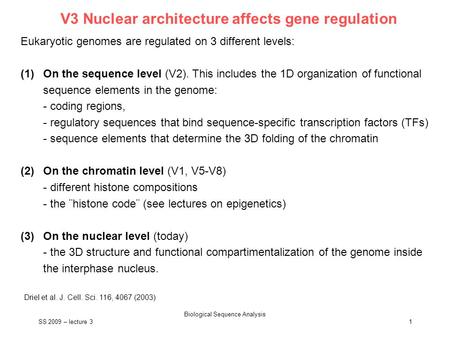 SS 2009 – lecture 3 Biological Sequence Analysis 1 V3 Nuclear architecture affects gene regulation Eukaryotic genomes are regulated on 3 different levels: