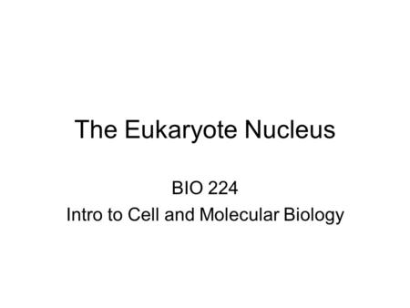 The Eukaryote Nucleus BIO 224 Intro to Cell and Molecular Biology.