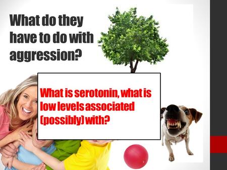What do they have to do with aggression? What is serotonin, what is low levels associated (possibly) with?