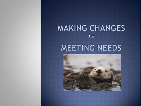 Making changes ** Meeting needs