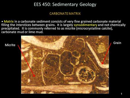 1 EES 450: Sedimentary Geology CARBONATE MATRIX Matrix in a carbonate sediment consists of very fine grained carbonate material filling the interstices.