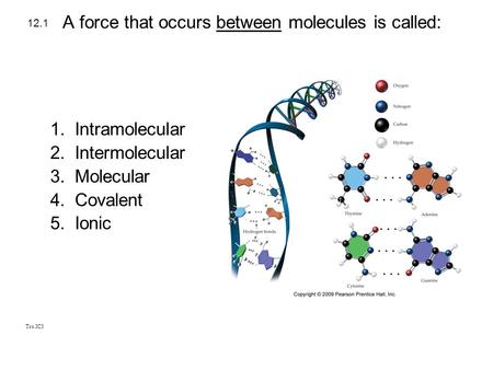 A force that occurs between molecules is called:
