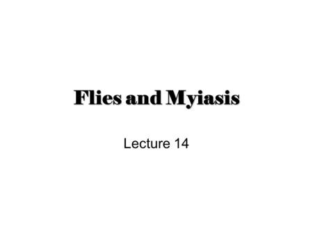 Flies and Myiasis Lecture 14.