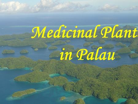 Medicinal Plants in Palau Medicinal Plants in Palau.