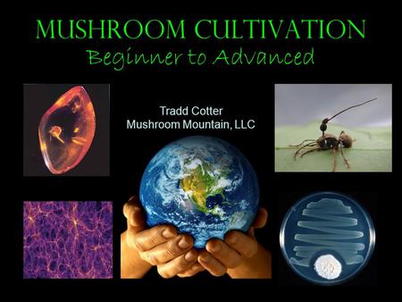 Mushroom Cultivation Beginner to Advanced Tradd Cotter Mushroom Mountain, LLC.