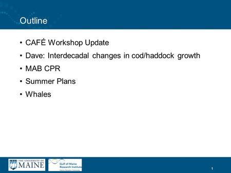 1 Outline CAFÉ Workshop Update Dave: Interdecadal changes in cod/haddock growth MAB CPR Summer Plans Whales.
