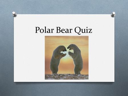 Polar Bear Quiz. Where do Polar Bears Live? Arctic Circle South Pole Equator All Around the World.