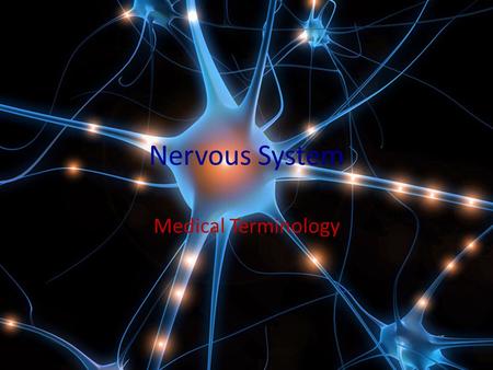 Nervous System Medical Terminology.