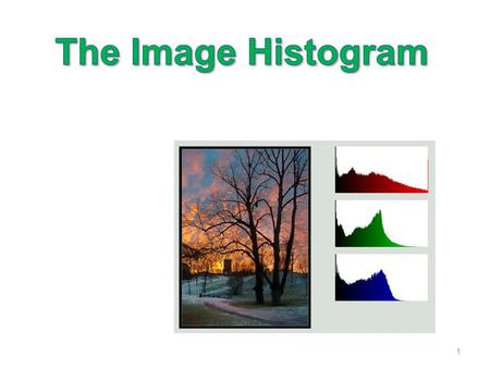 The Image Histogram.
