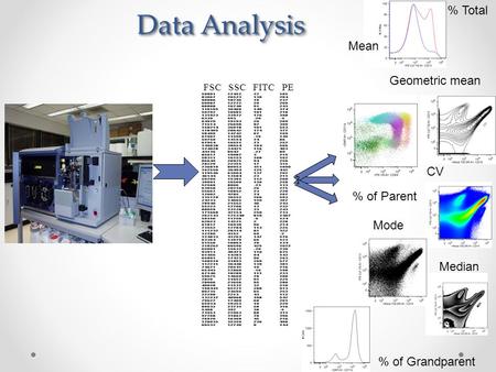 Data Analysis % Total Mean Geometric mean CV % of Parent Mode Median