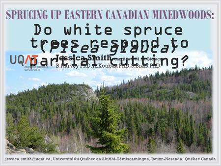 Université du Québec en Abitibi-Témiscamingue, Rouyn-Noranda, Québec Canada SPRUCING UP EASTERN CANADIAN MIXEDWOODS: Do white spruce.