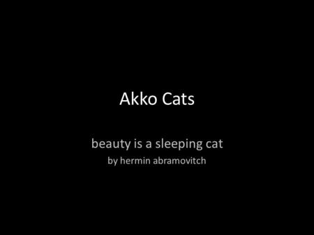 Akko Cats beauty is a sleeping cat by hermin abramovitch.