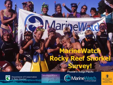 MarineWatch Rocky Reef Snorkel Survey! Photos © Indigo Pacific.
