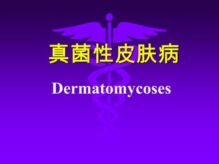 真菌性皮肤病 真菌性皮肤病 Dermatomycoses. 一 皮肤癣菌病 dermatophytoses.