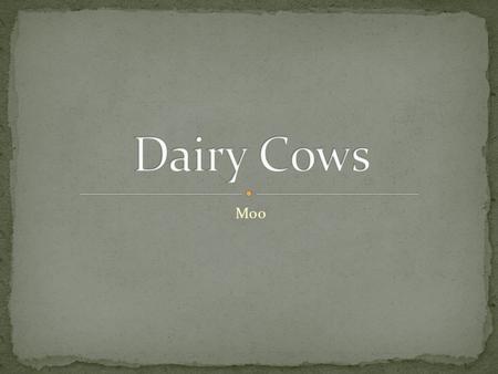 Moo. Identify major breeds of dairy cattle Define dairy terms Identify parts of a dairy cow Distinguish different dairy products.